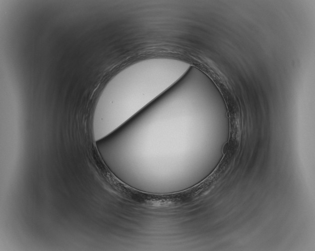 X0000116620500200912110943