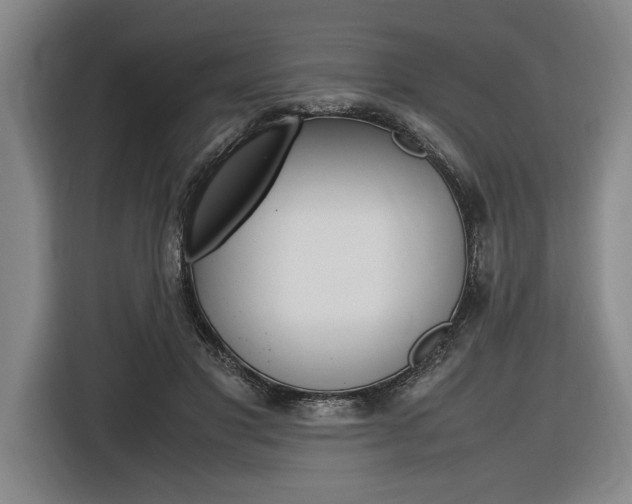 X0000116620501200912110943