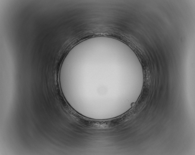 X0000116620502200912110943