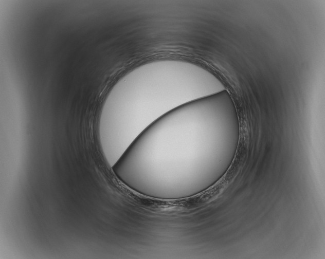 X0000116620504200912110943
