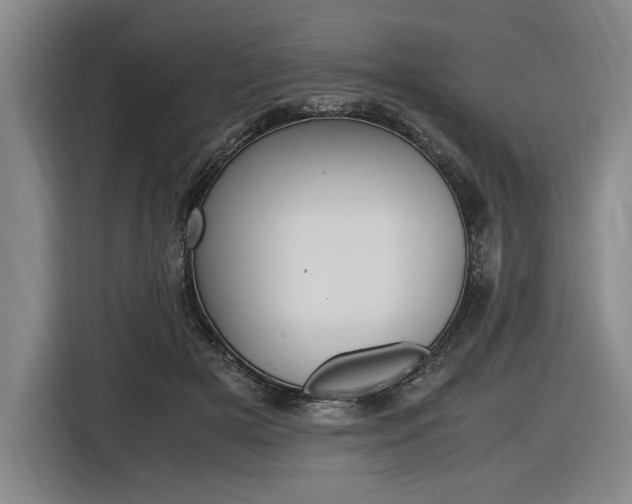 X0000116620505200912110943