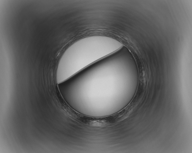 X0000116620508200912110943