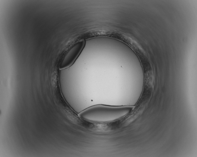 X0000116620509200912110943