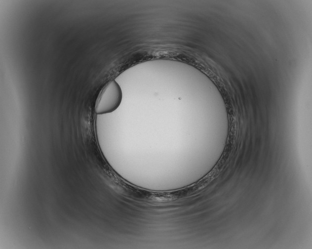 X0000116620510200912110943