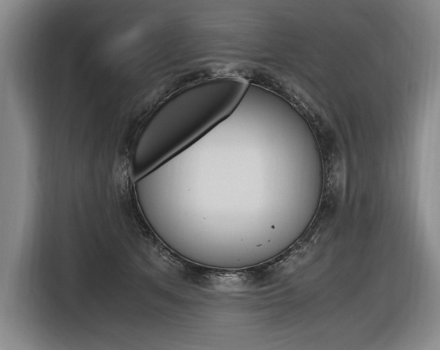 X0000116620513200912110943