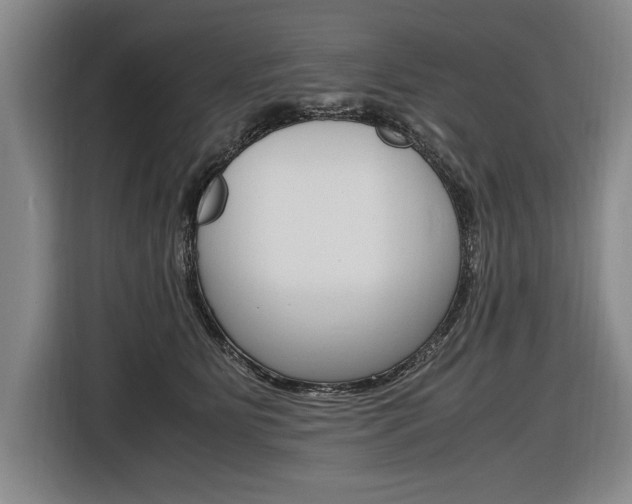 X0000116620515200912110943