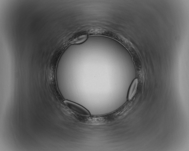 X0000116620517200912110943