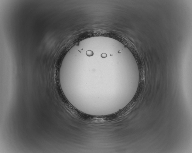 X0000116620519200912110943