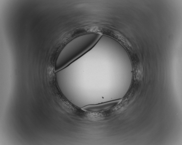 X0000116620521200912110943