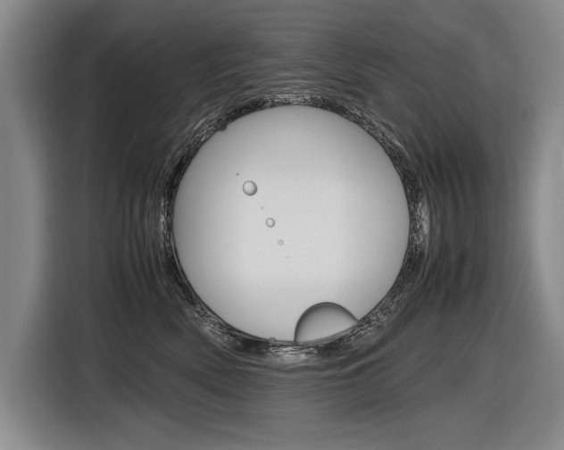 X0000116620522200912110943