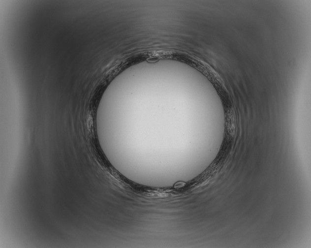 X0000116620523200912110943