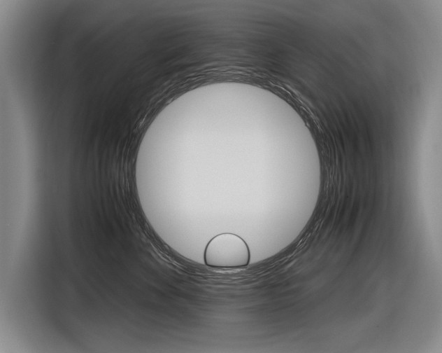 X0000116620524200912110943