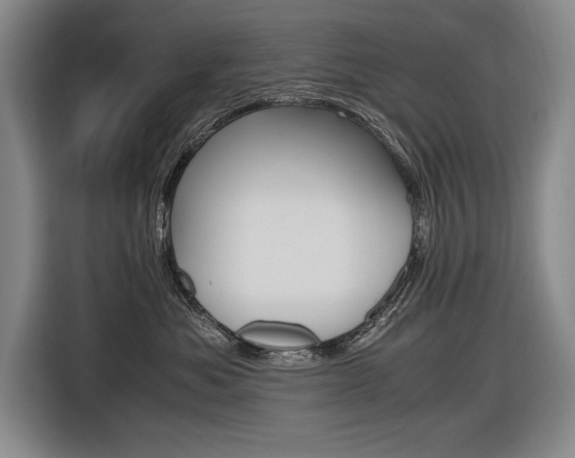 X0000116620525200912110943