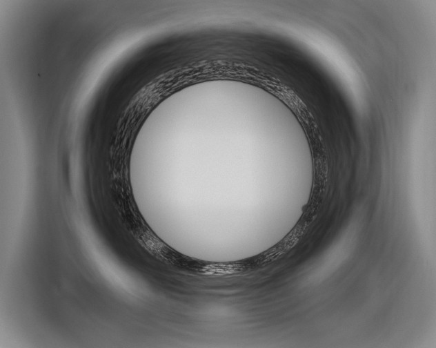 X0000116620526200912110943