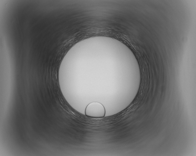 X0000116620528200912110943
