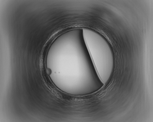 X0000116620531200912110942