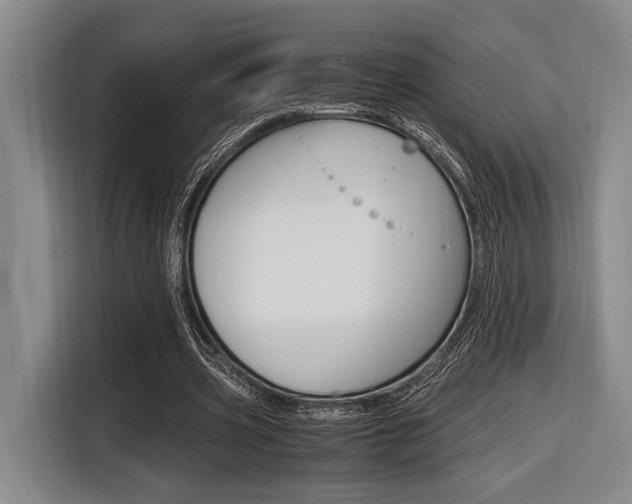 X0000116620533200912110943