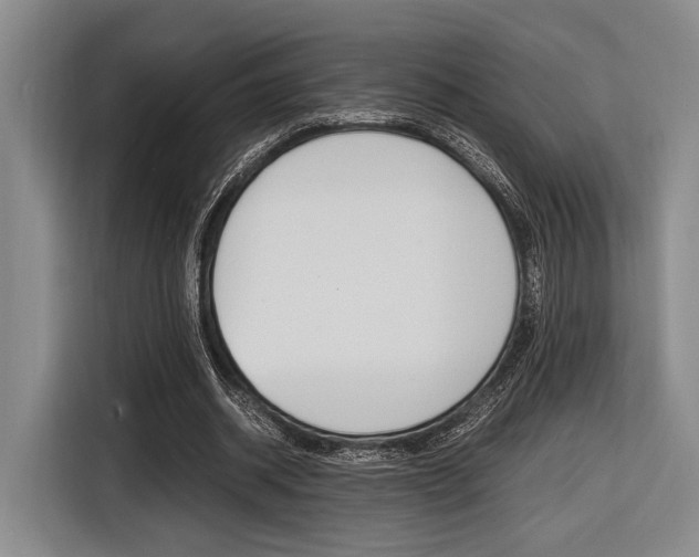 X0000116620534200912110943
