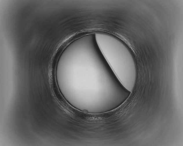 X0000116620535200912110943