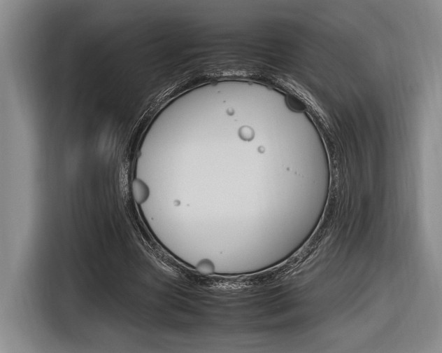 X0000116620537200912110943