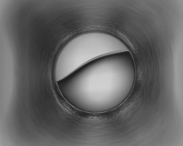 X0000116620538200912110943