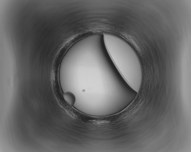 X0000116620539200912110943