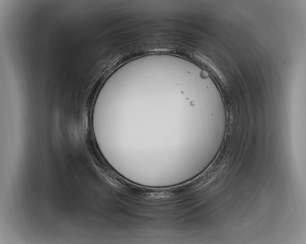 X0000116620541200912110943