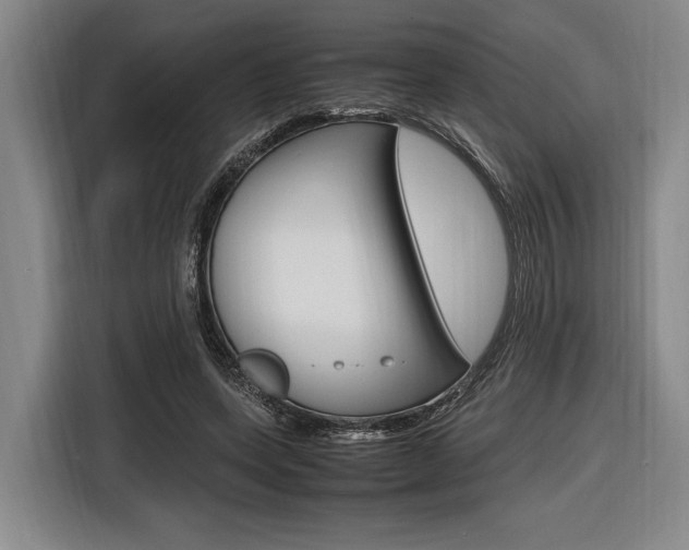 X0000116620543200912110943