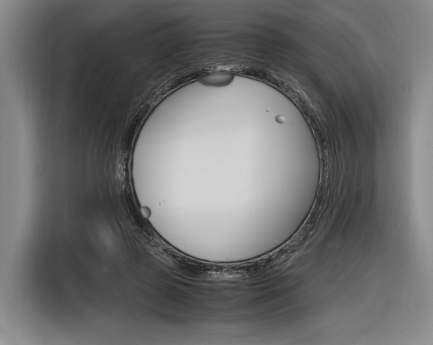 X0000116620545200912110943