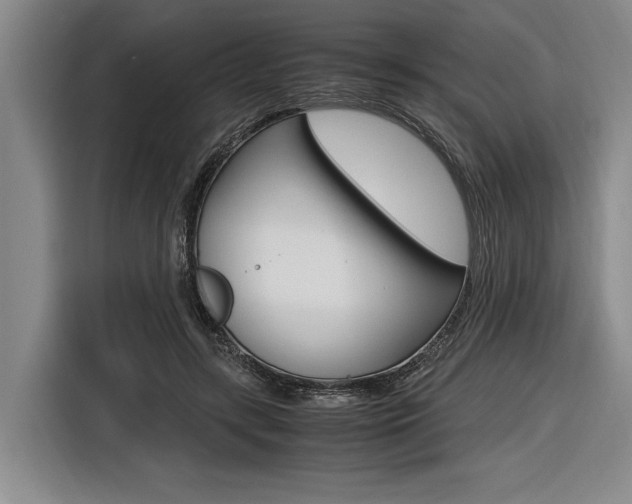 X0000116620547200912110943