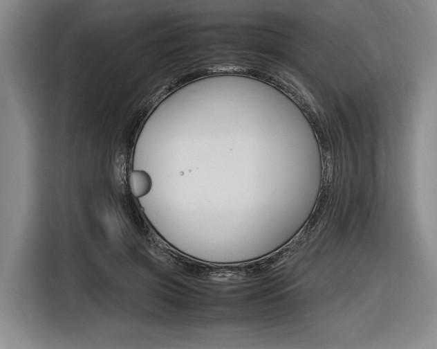 X0000116620549200912110943