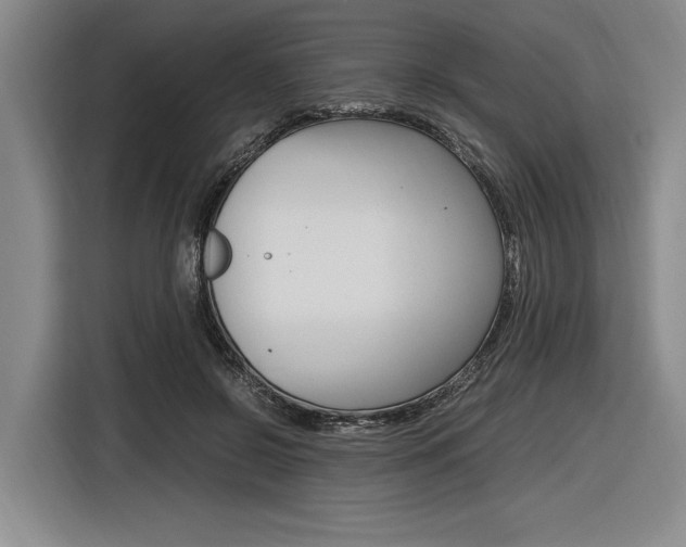X0000116620550200912110943
