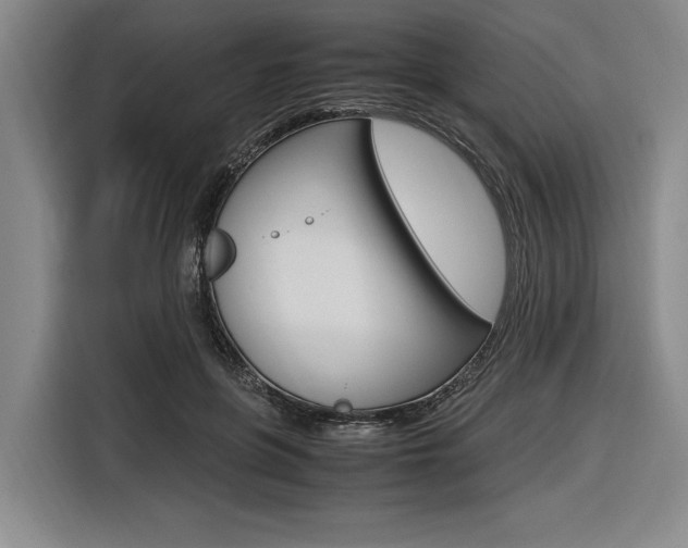X0000116620551200912110943