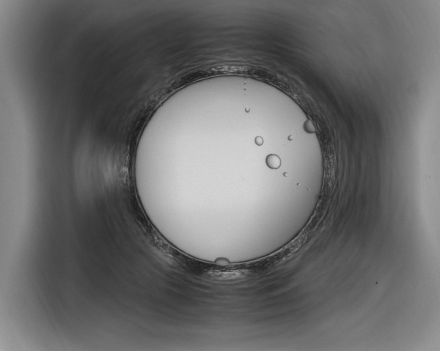 X0000116620553200912110943