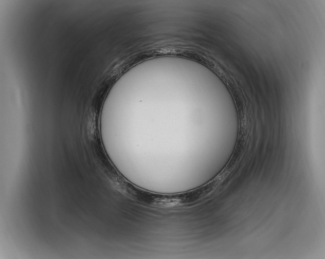 X0000116620554200912110943