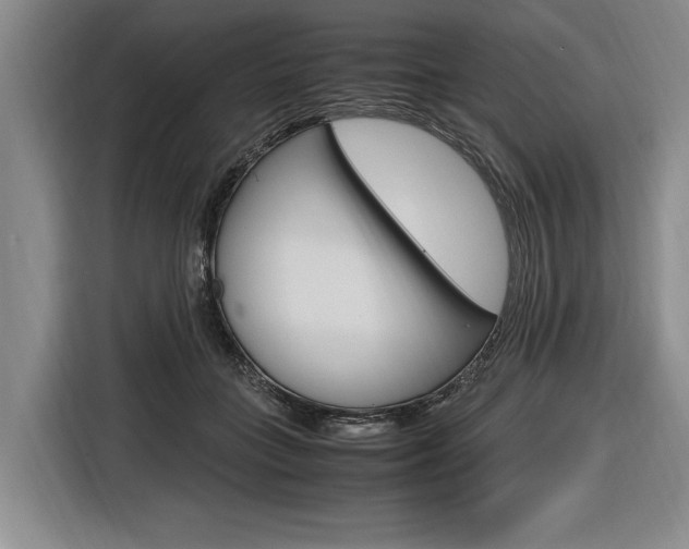X0000116620555200912110943