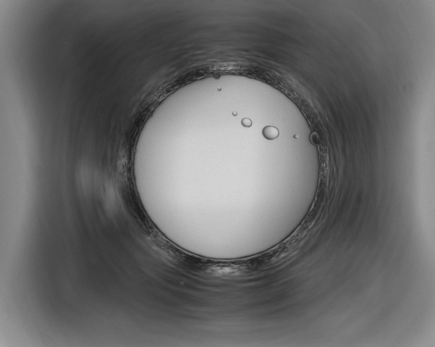 X0000116620557200912110943