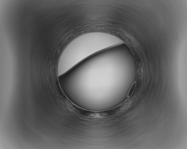 X0000116620558200912110943