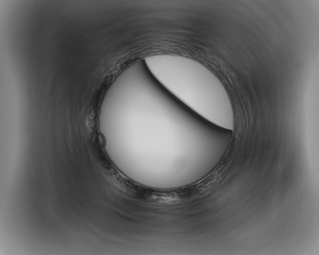 X0000116620559200912110943