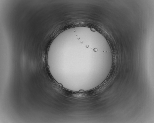 X0000116620561200912110943