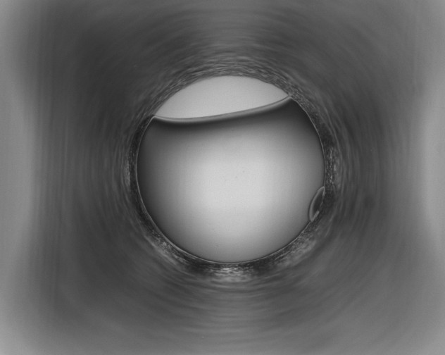 X0000116620562200912110943