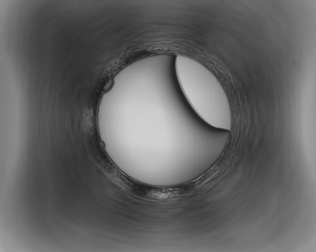 X0000116620563200912110943