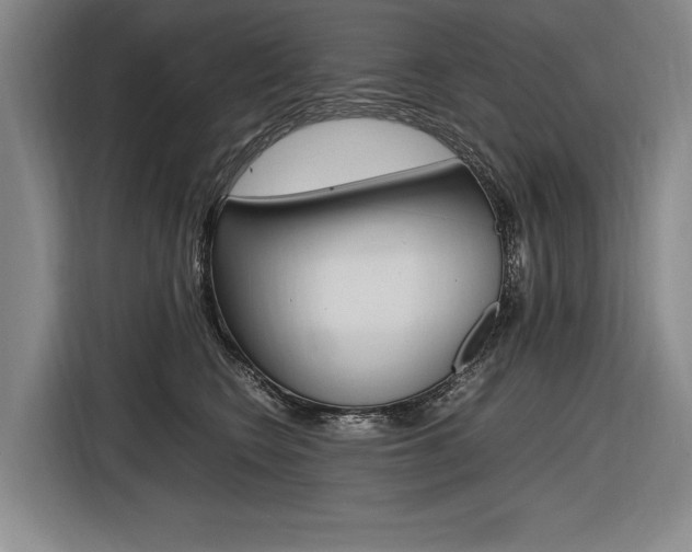 X0000116620566200912110943