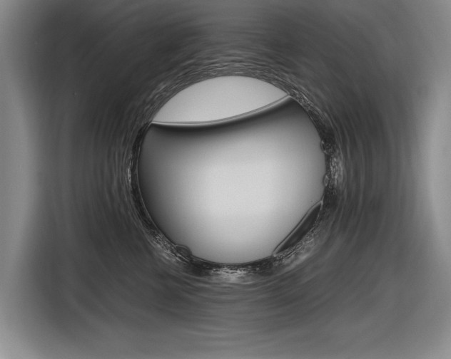 X0000116620570200912110943