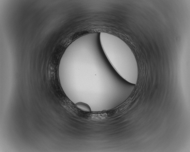 X0000116620571200912110943