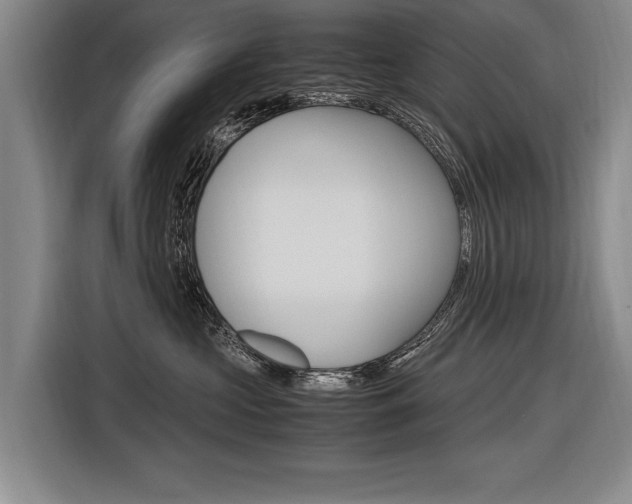 X0000116620573200912110943