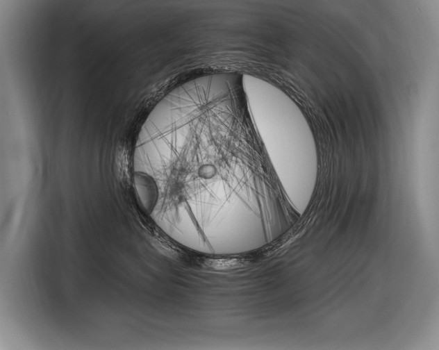 X0000116620575200912110943