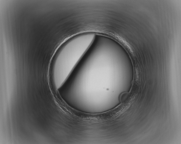 X0000116620580200912110942