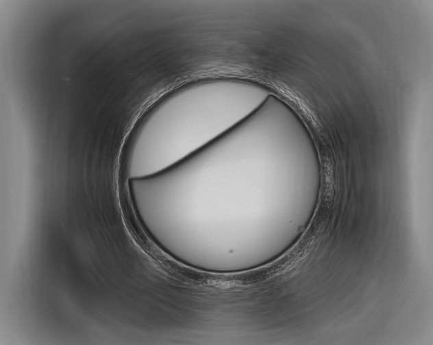 X0000116620582200912110942