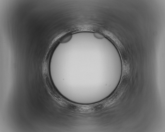 X0000116620583200912110942